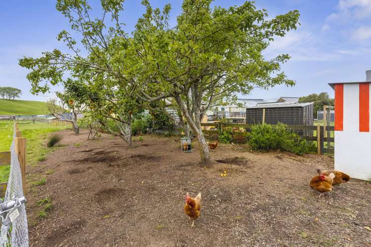 812 Roto O Rangi Road Cambridge_17