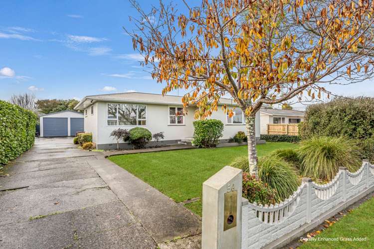 56 Devon Road_0