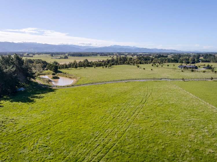 Phelps Way Morisons Bush_4