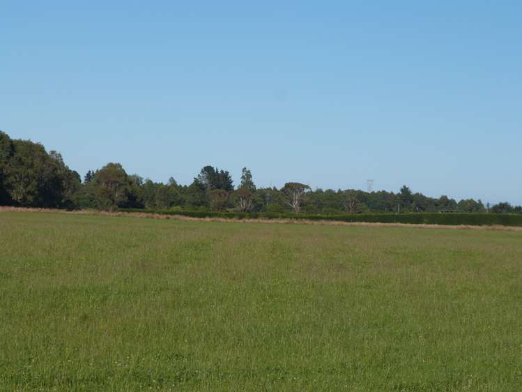 750 Rakahouka Hedgehope Road Mabel Bush_2