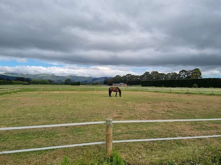 475 Ellesmere Road Lincoln_14