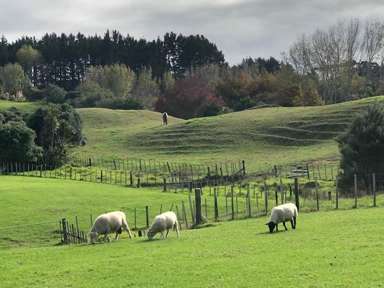 Lot 2 DP480579 South Head Road_1