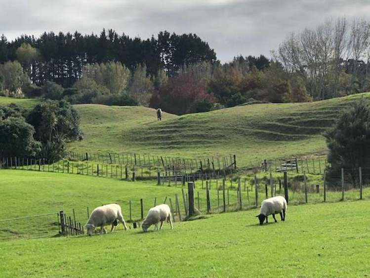 Lot 2 DP480579 South Head Road_0