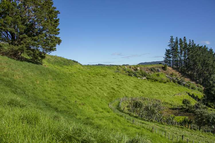 Lot 3, 163 Ahuroa Road Puhoi_18