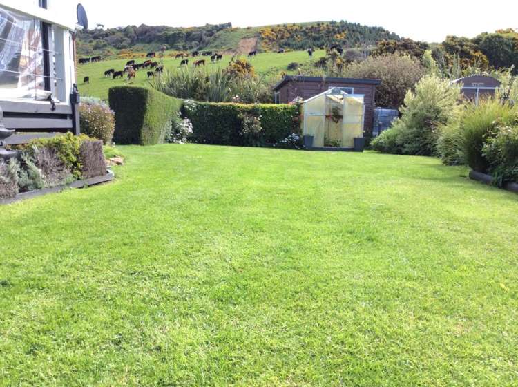 1342 Coast Road Toko Mouth_10