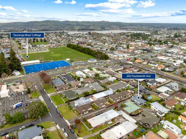 202 Fourteenth Avenue Tauranga South_2