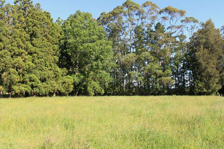 3b Macadamia Lane Kerikeri Surrounds_1