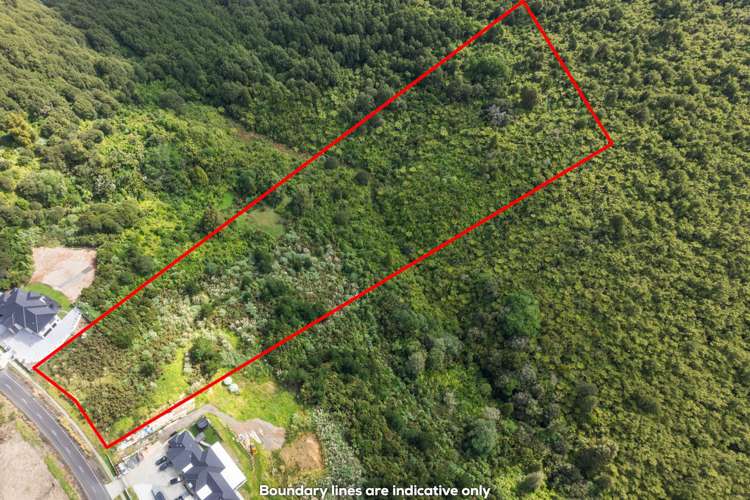 79 Griggs Road East Tamaki Heights_7