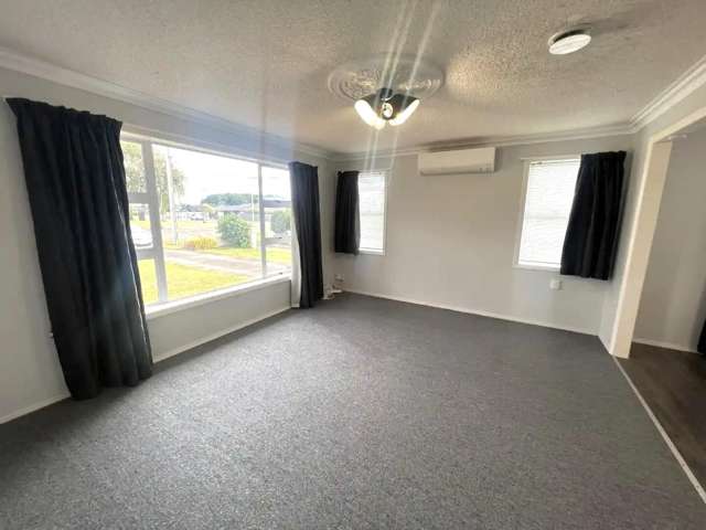 174 Queen Street Levin_2