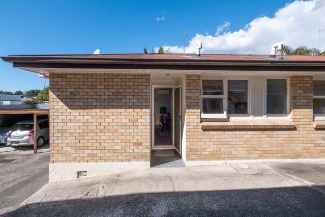 63a Sixth Avenue Tauranga Central_3