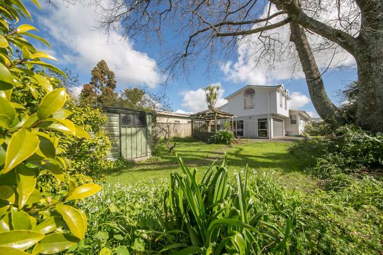 44 Seymour Road Sunnyvale_5