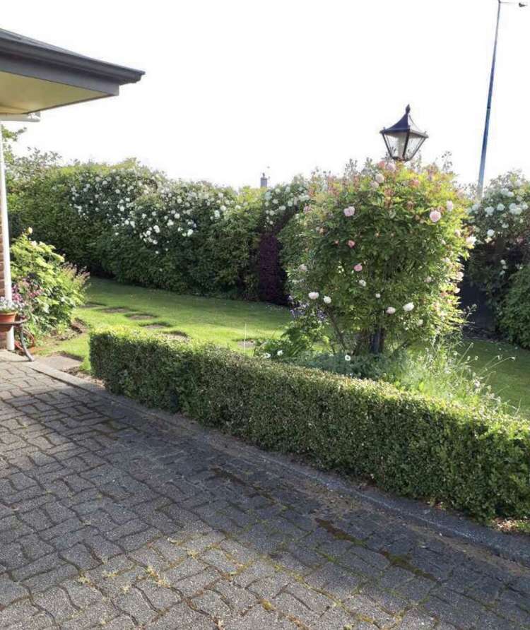 779 Queens Drive Waikiwi_29