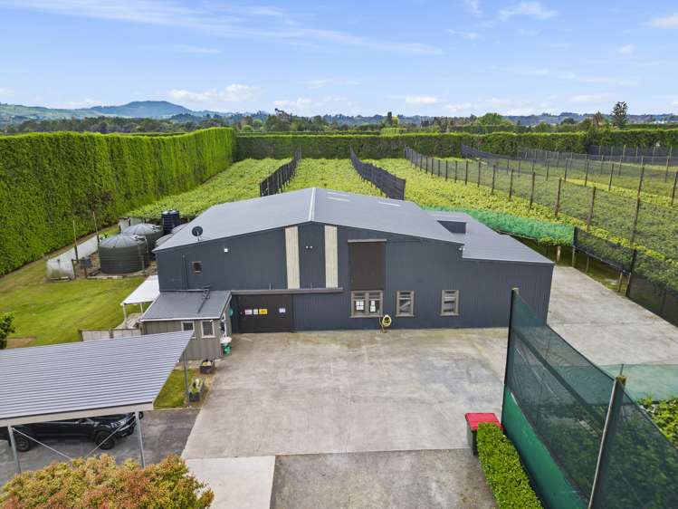 151 Beach Road Katikati_17