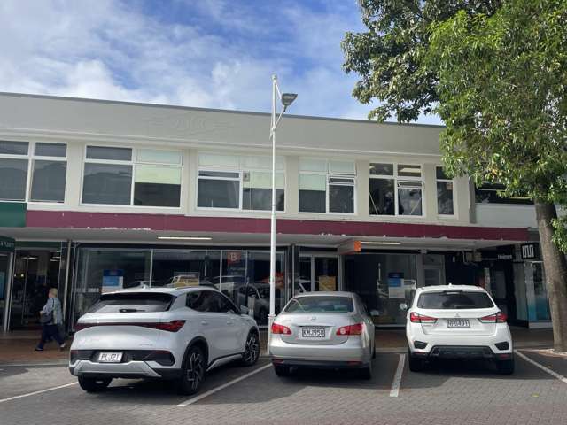 74 Grey Street, Tauranga Dunedin Central_3