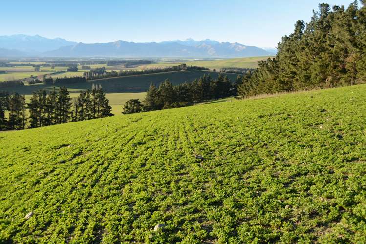 207 Christians Road Hawarden_4