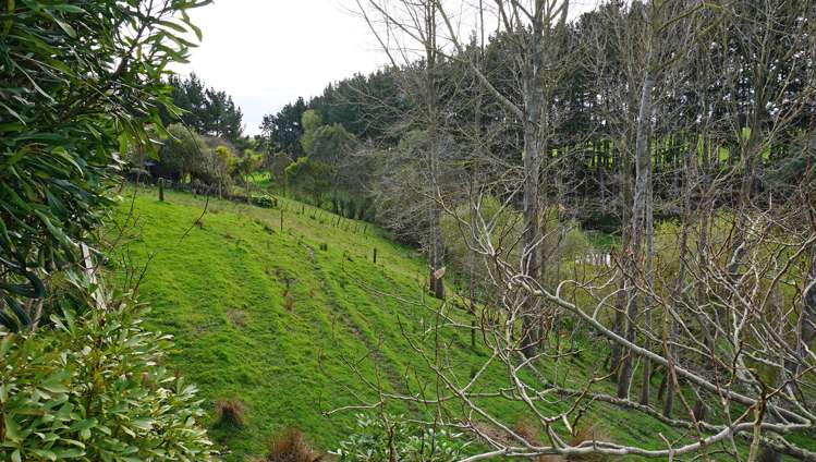 120 Heatherlea West Road Levin_20