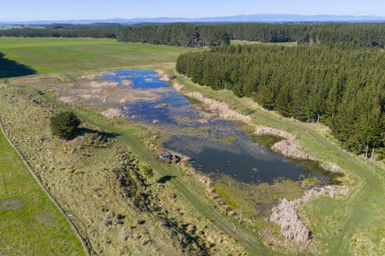 725 Raumai Road Bulls_5