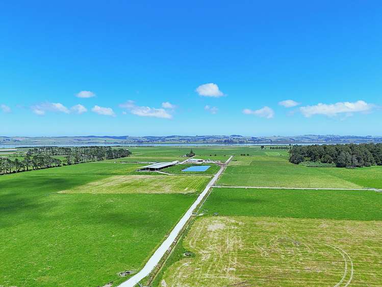 331 Simpson Road Ruawai_15