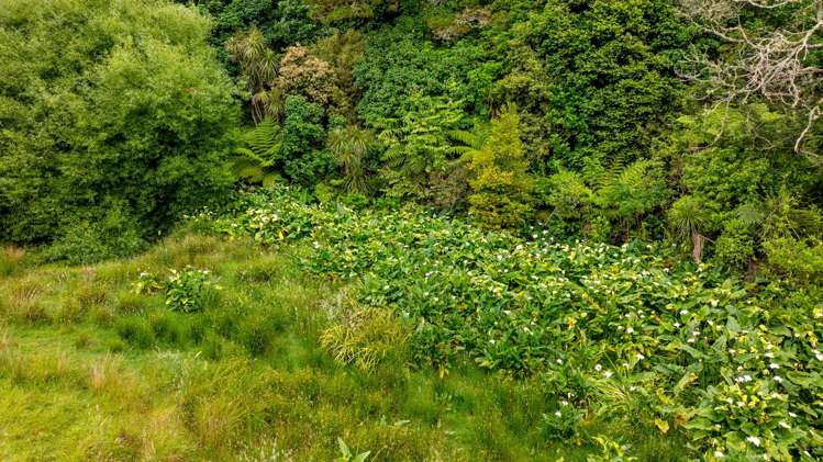 10 Hobbs Road Matakatia_32