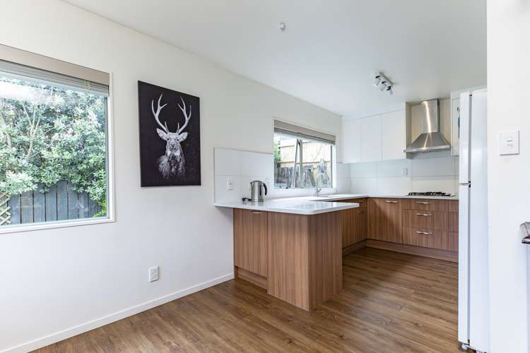 18a Esmeralda Avenue Avondale_8