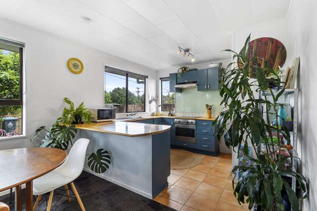 41 Paihia Road One Tree Hill_1