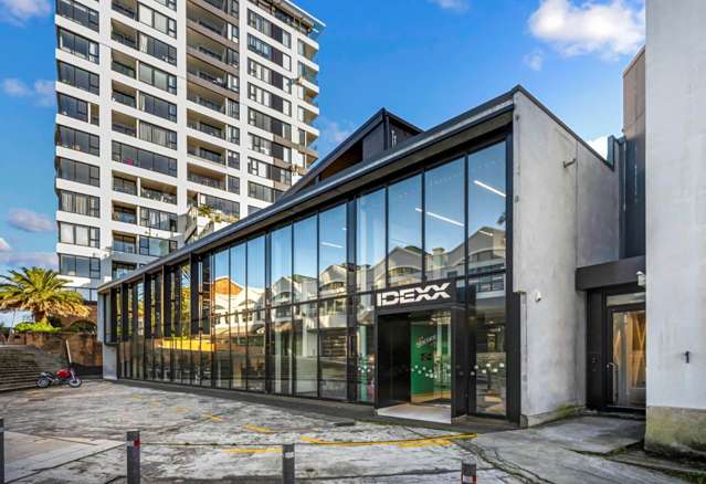 19 Hopetoun Street Freemans Bay_1