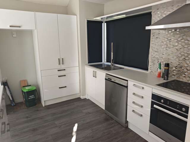 176 Guys Road East Tamaki_3