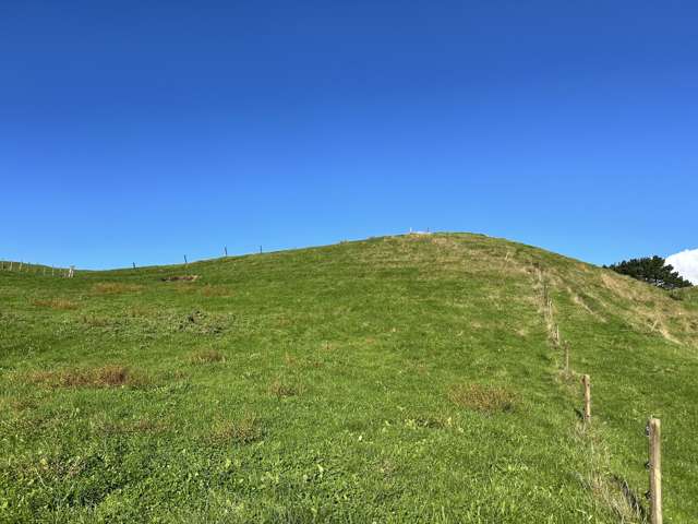 1/627 Waitomo Valley Road Otorohanga_1