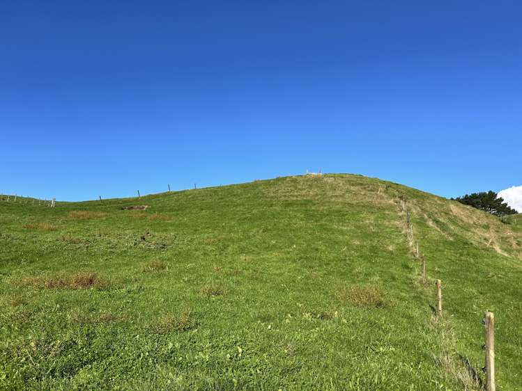 1/627 Waitomo Valley Road_1