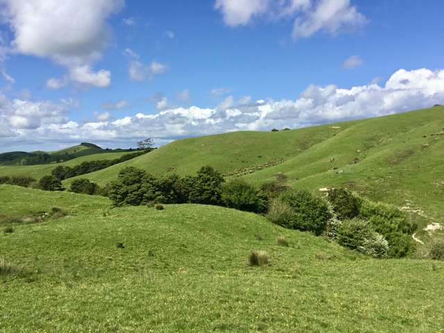 Lot 1 Wharehine Road Wellsford_4