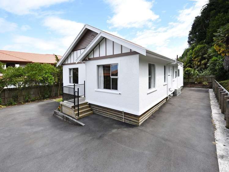 119c Grove Street The Wood_1