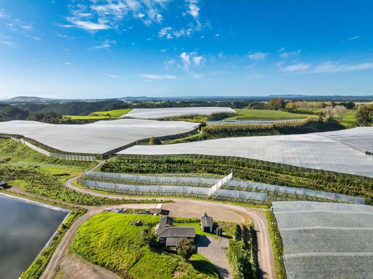 1050 Maniatutu Road Pongakawa_19