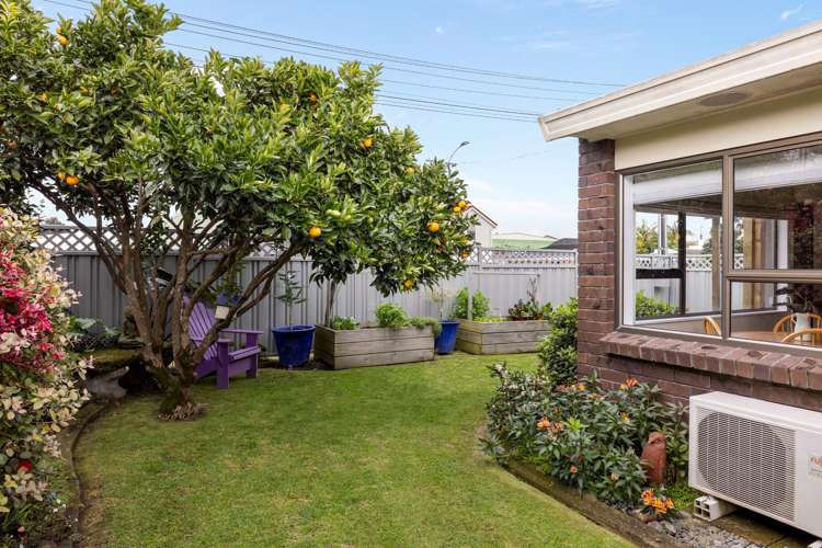 13 Twelfth Avenue Tauranga South_19