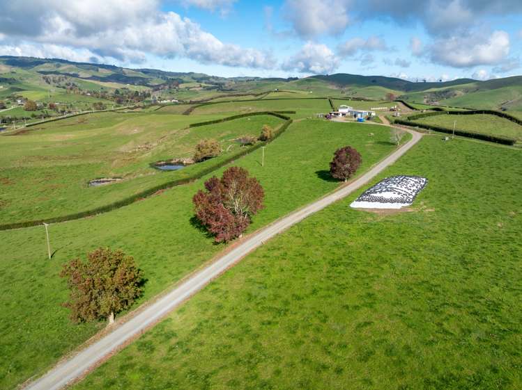 376 Starkey Road Morrinsville_2