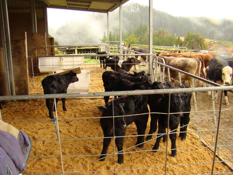 3609 State Highway 10 Kaeo_14