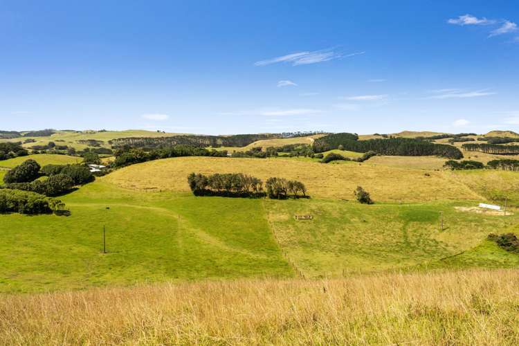 Rehutai Road Baylys Beach_11