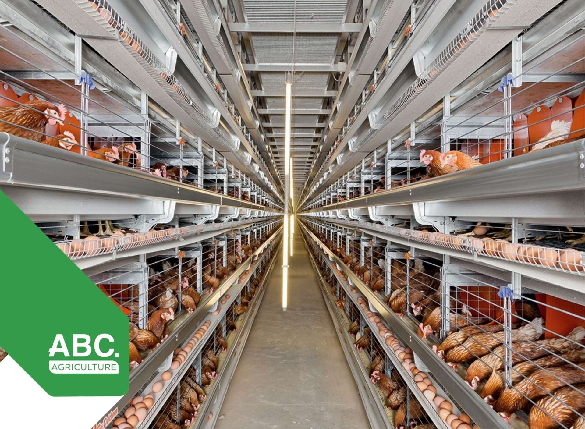 Address withheld Christchurch Surrounds_0