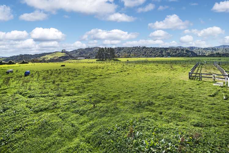 18a Moumoukai Road Hunua_14