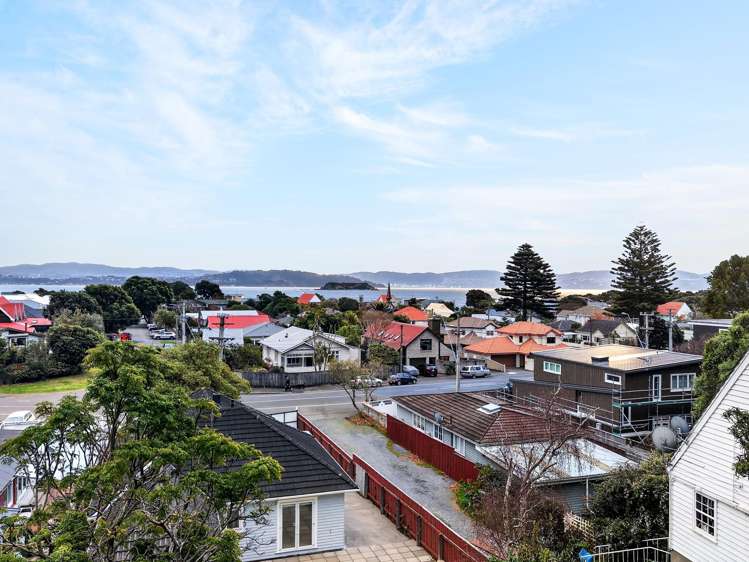 283A Muritai Road Eastbourne_41