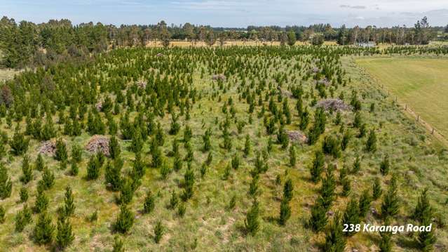 238 - 240 Karanga Road Dunsandel_3