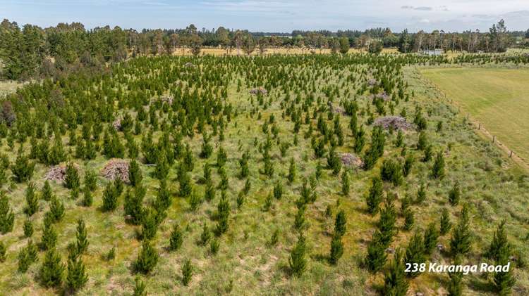 238 - 240 Karanga Road_3