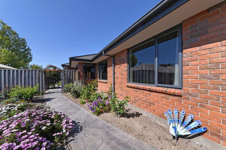 12 Astelia Place Richmond_3
