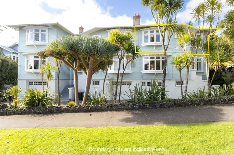 3/17 Lovelock Avenue Mount Eden_14