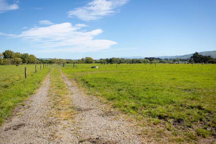 Broomfield Road Woodville_2