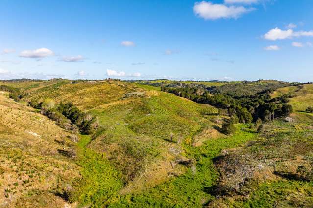 Arcadia Road Paparoa_3