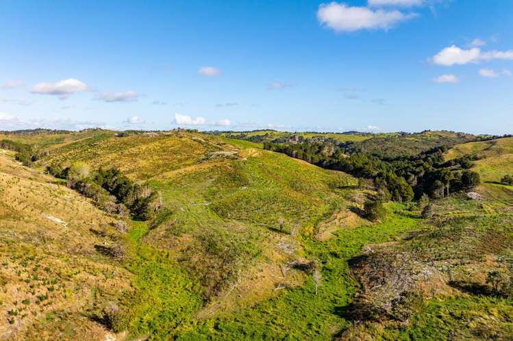 Arcadia Road Paparoa_3