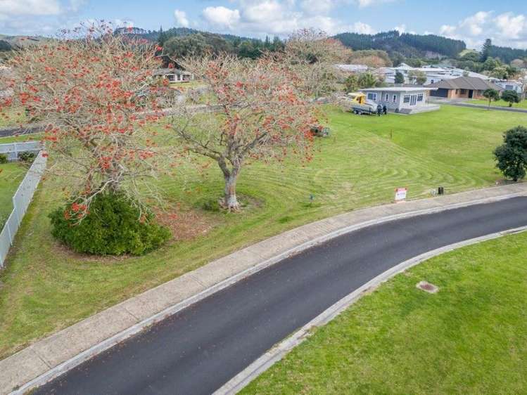 16 Flame Tree Lane Taipa_3