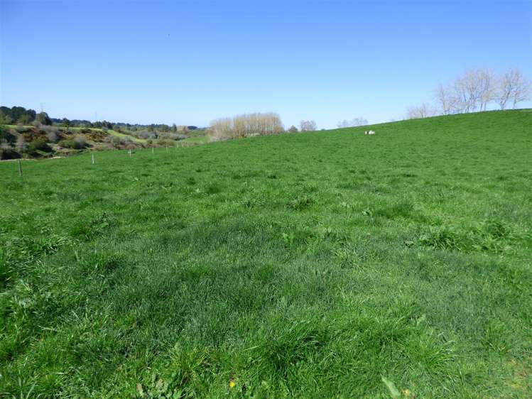 336 Grove Road Te Pahu_19