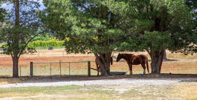 149 Dunstan Road Alexandra_24