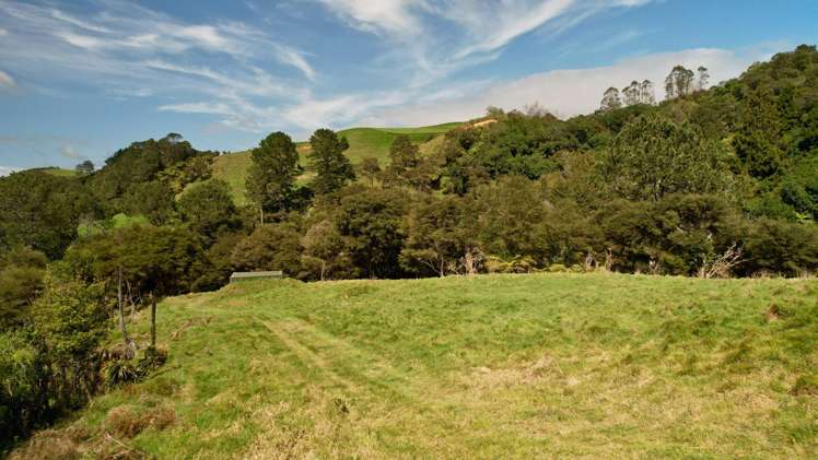 717 Wright Road Aongatete_15